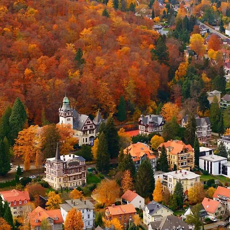 Harzgipfel Mit Dampfdusche #innestadtnaehe#netflix Von Harztraveler Bad Harzburg