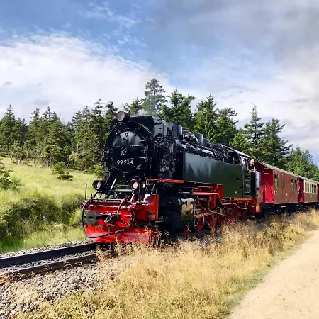 Harzgipfel Mit Dampfdusche #innestadtnaehe#netflix Von Harztraveler شقة *