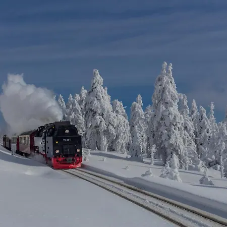 شقة Harzgipfel Mit Dampfdusche #innestadtnaehe#netflix Von Harztraveler