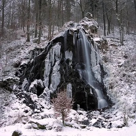 Apartment Harzgipfel Mit Dampfdusche #innestadtnähe#netflix Von Harztraveler *