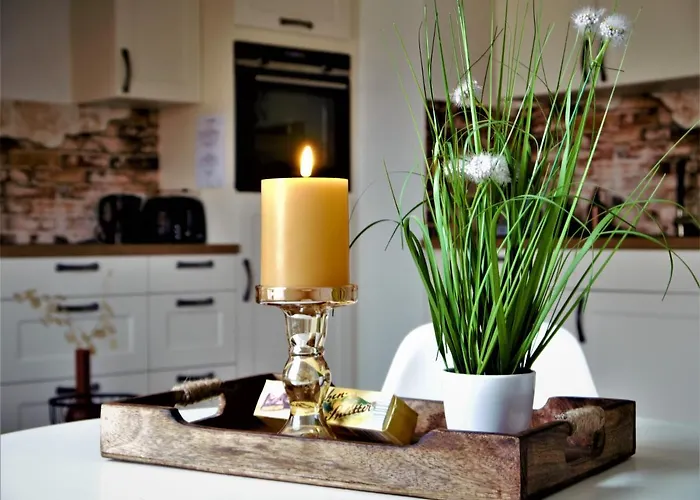 Harzgipfel Mit Dampfdusche #innestadtnaehe#netflix Von Harztraveler Bad Harzburg